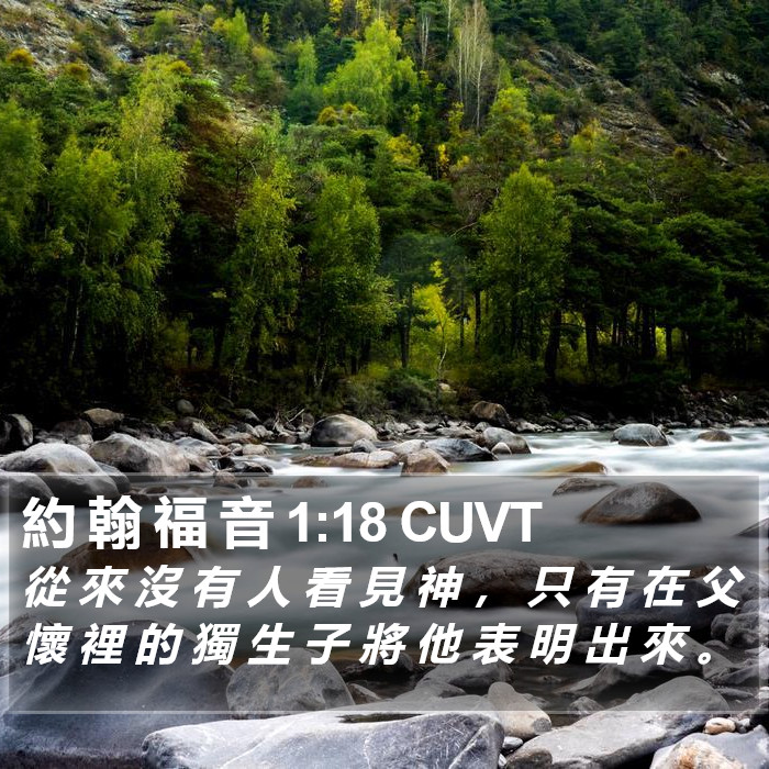 約 翰 福 音 1:18 CUVT Bible Study