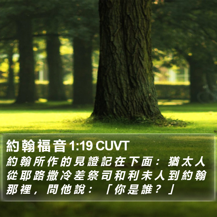 約 翰 福 音 1:19 CUVT Bible Study