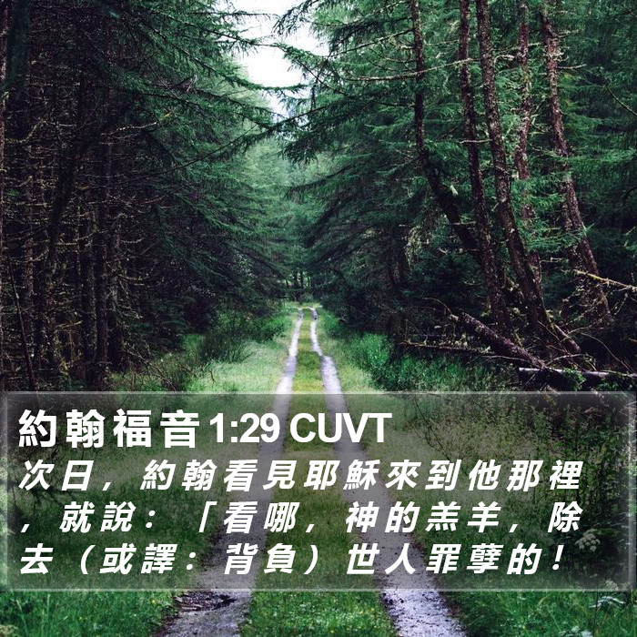 約 翰 福 音 1:29 CUVT Bible Study