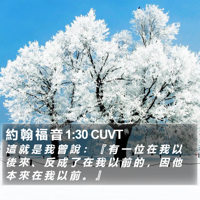 約 翰 福 音 1:30 CUVT Bible Study