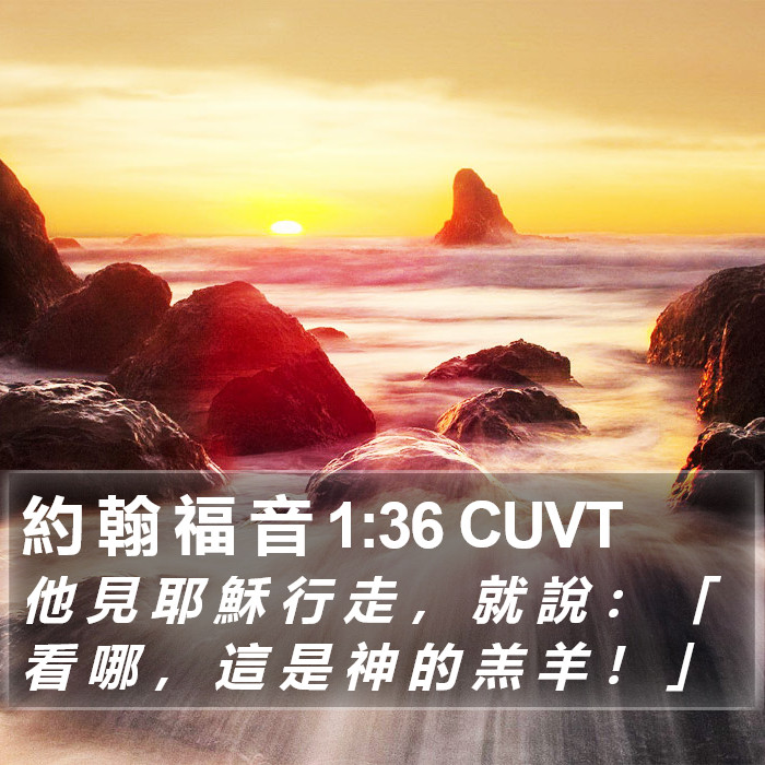 約 翰 福 音 1:36 CUVT Bible Study