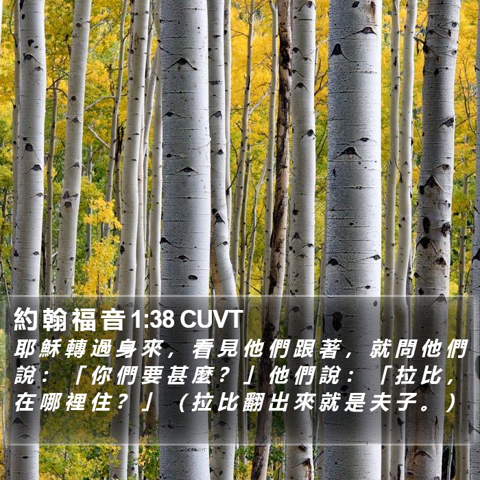 約 翰 福 音 1:38 CUVT Bible Study