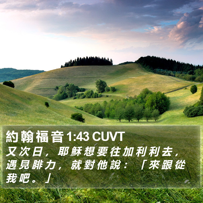 約 翰 福 音 1:43 CUVT Bible Study