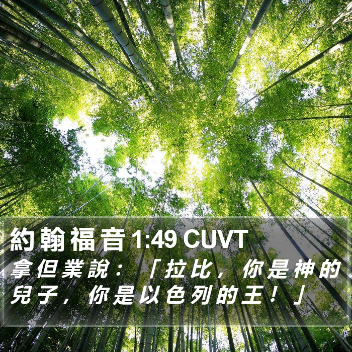 約 翰 福 音 1:49 CUVT Bible Study