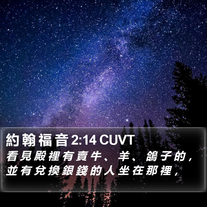 約 翰 福 音 2:14 CUVT Bible Study