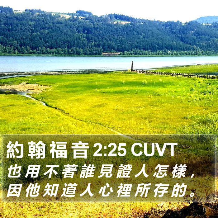 約 翰 福 音 2:25 CUVT Bible Study