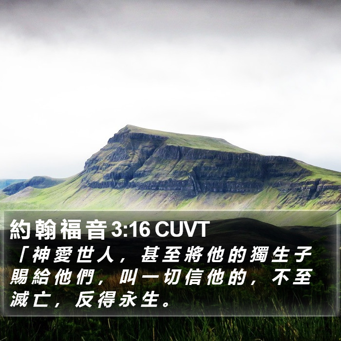 約 翰 福 音 3:16 CUVT Bible Study