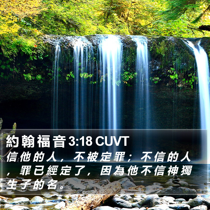 約 翰 福 音 3:18 CUVT Bible Study