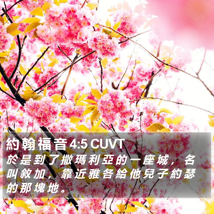 約 翰 福 音 4:5 CUVT Bible Study