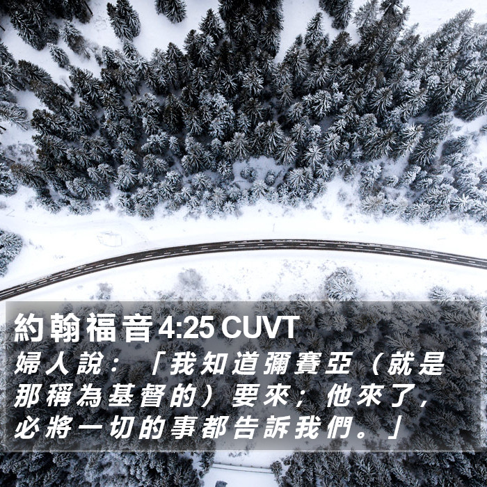 約 翰 福 音 4:25 CUVT Bible Study