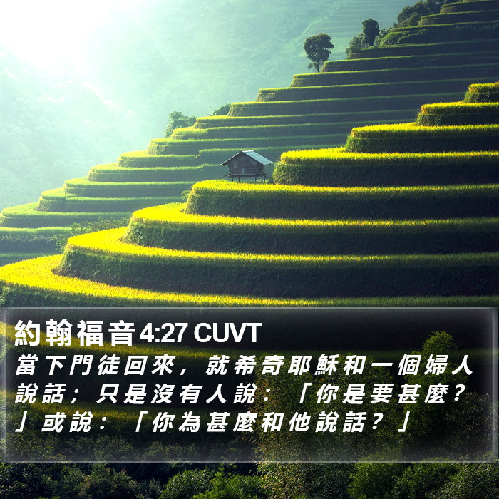 約 翰 福 音 4:27 CUVT Bible Study