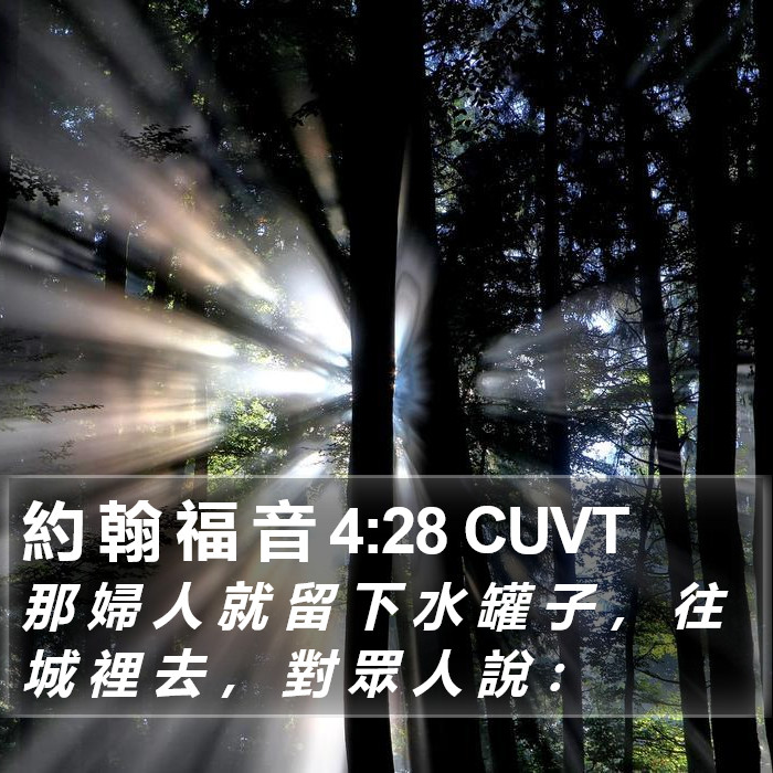 約 翰 福 音 4:28 CUVT Bible Study