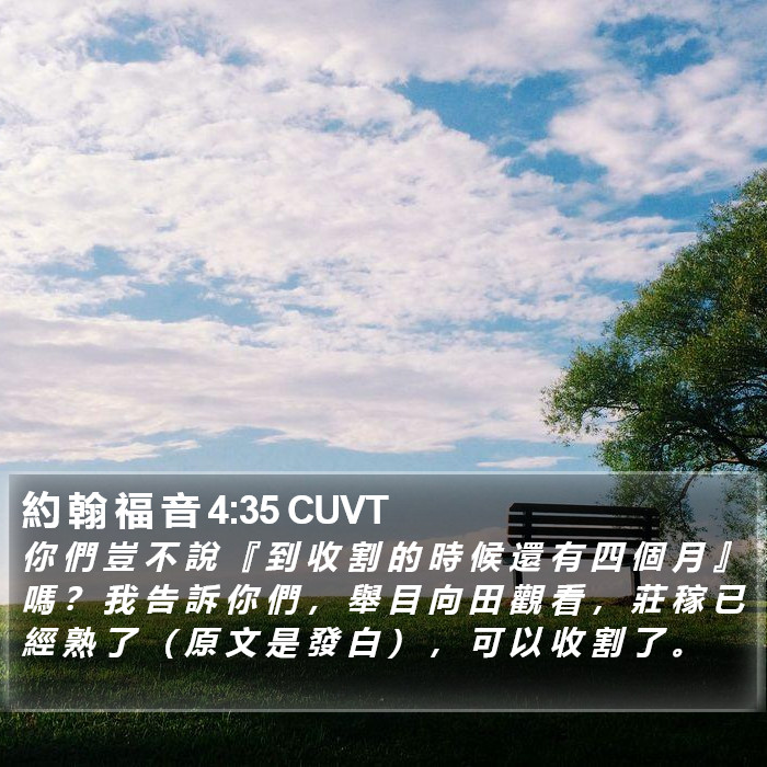 約 翰 福 音 4:35 CUVT Bible Study