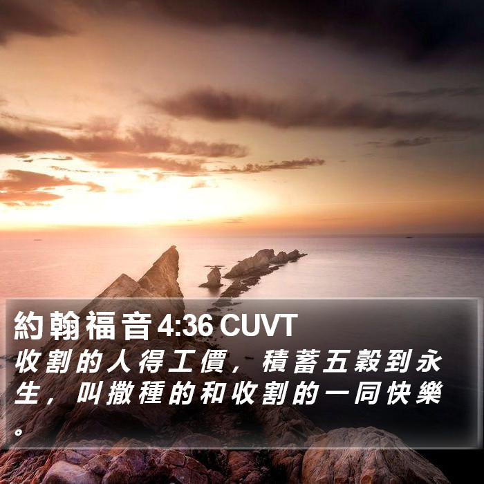 約 翰 福 音 4:36 CUVT Bible Study