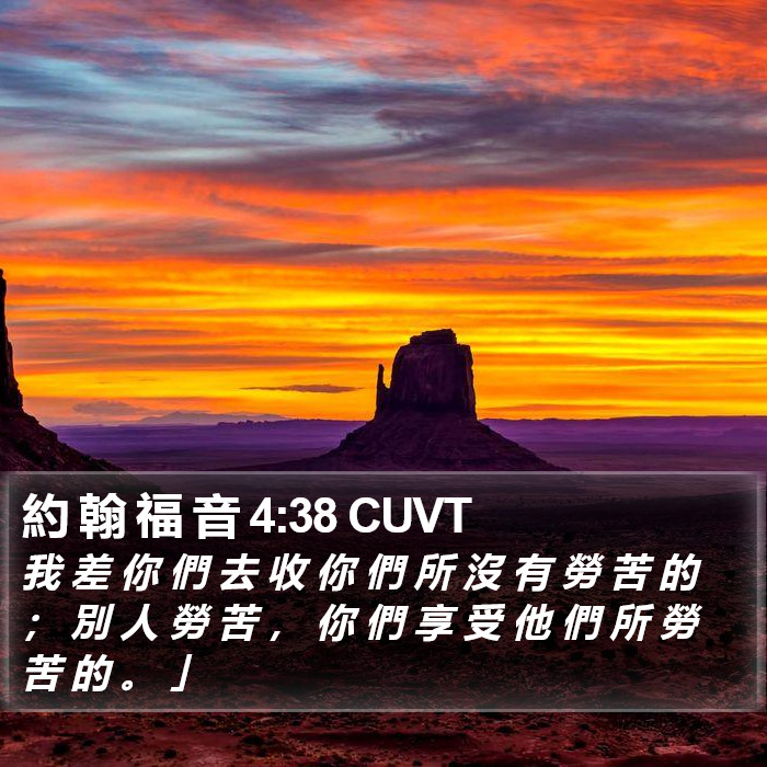 約 翰 福 音 4:38 CUVT Bible Study