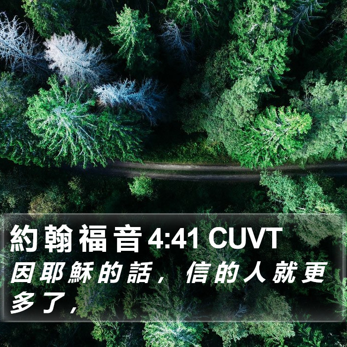 約 翰 福 音 4:41 CUVT Bible Study