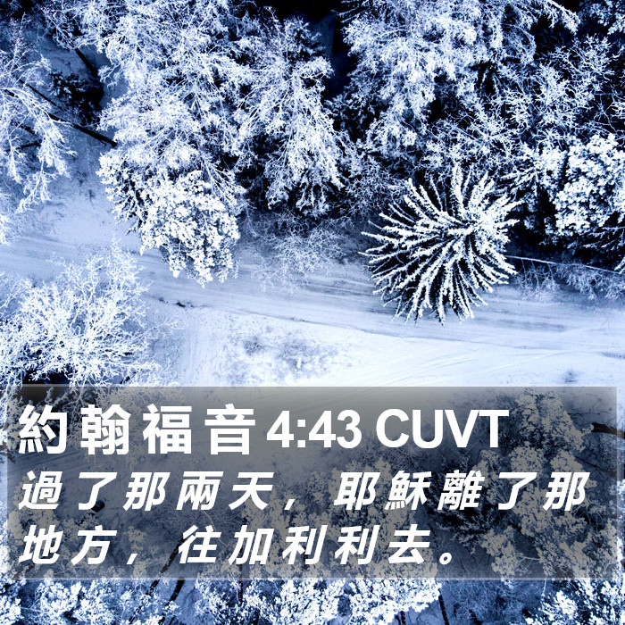 約 翰 福 音 4:43 CUVT Bible Study