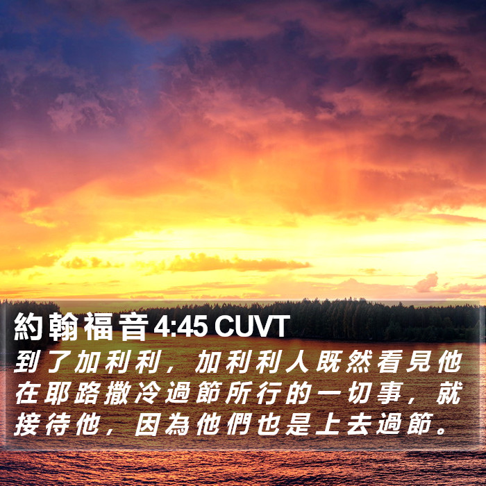 約 翰 福 音 4:45 CUVT Bible Study