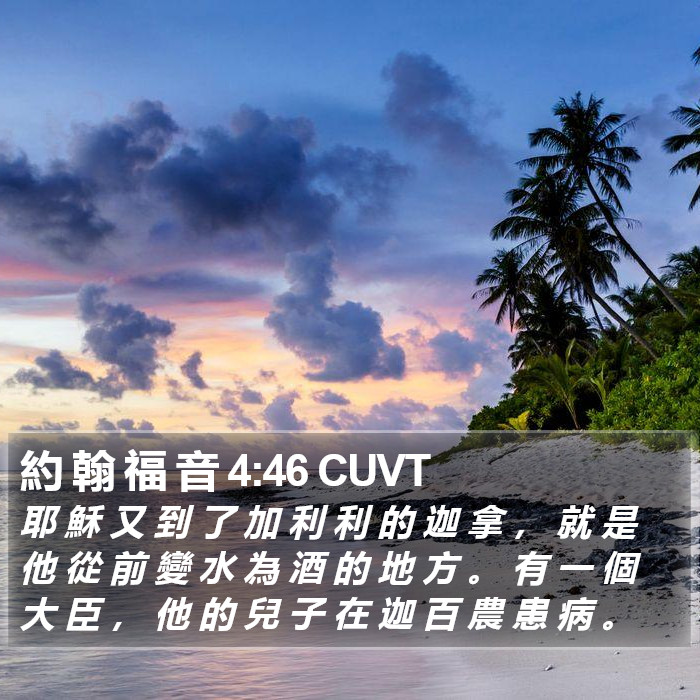 約 翰 福 音 4:46 CUVT Bible Study