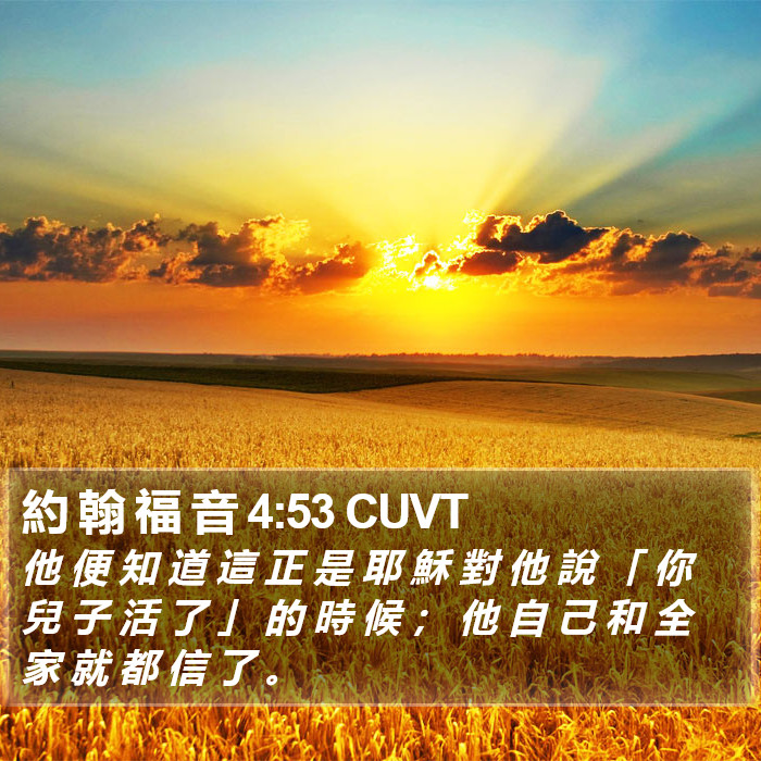 約 翰 福 音 4:53 CUVT Bible Study