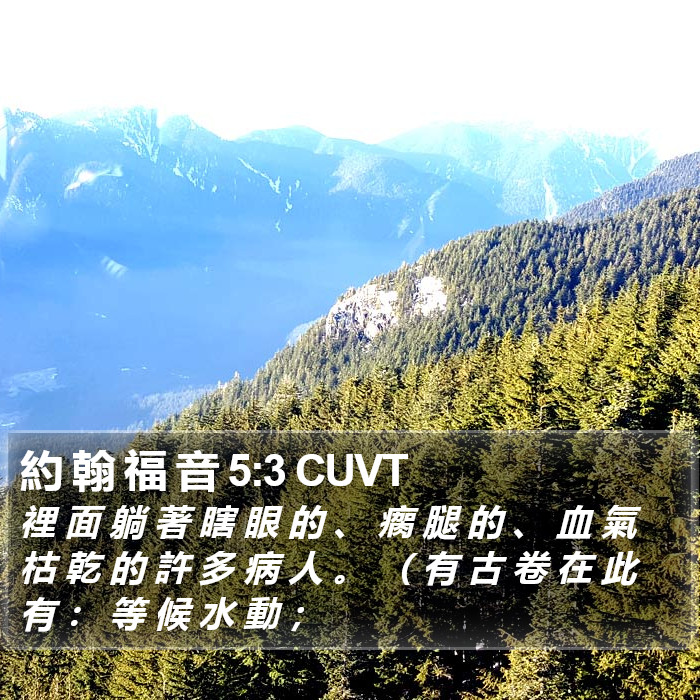 約 翰 福 音 5:3 CUVT Bible Study