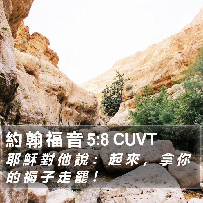 約 翰 福 音 5:8 CUVT Bible Study