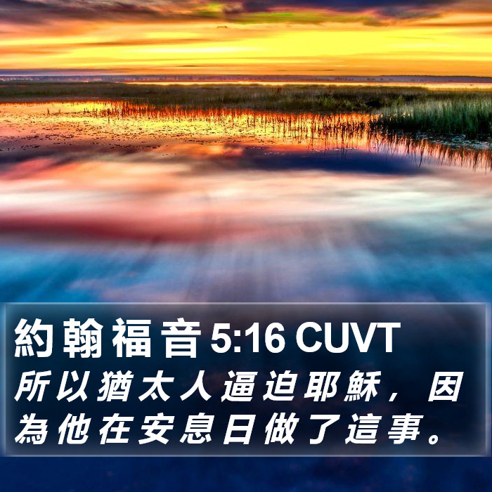 約 翰 福 音 5:16 CUVT Bible Study