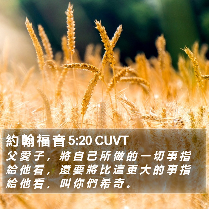 約 翰 福 音 5:20 CUVT Bible Study