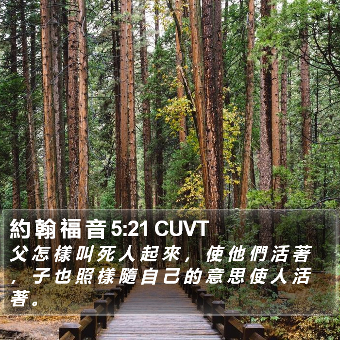 約 翰 福 音 5:21 CUVT Bible Study