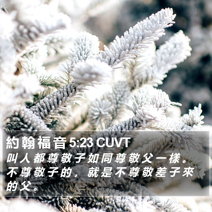 約 翰 福 音 5:23 CUVT Bible Study