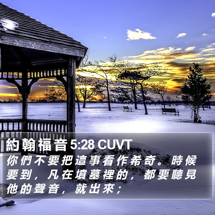 約 翰 福 音 5:28 CUVT Bible Study