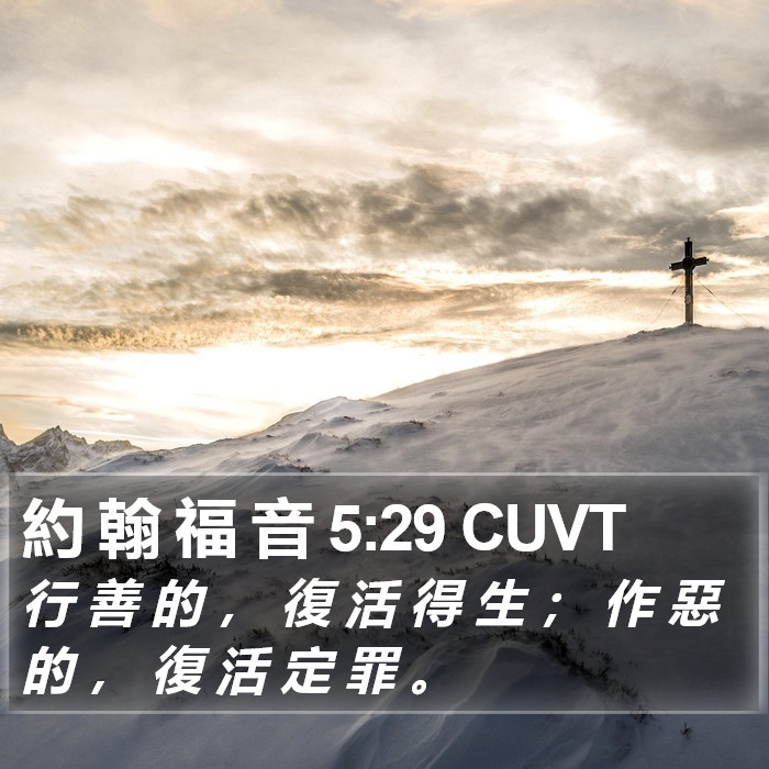 約 翰 福 音 5:29 CUVT Bible Study