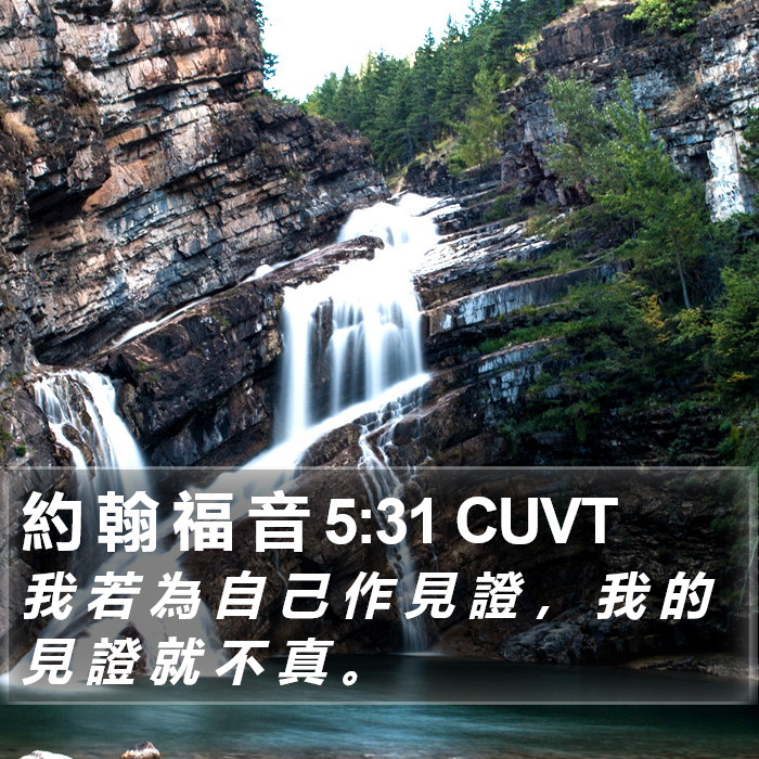 約 翰 福 音 5:31 CUVT Bible Study