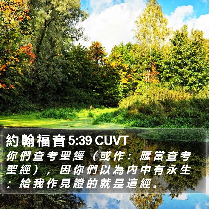 約 翰 福 音 5:39 CUVT Bible Study