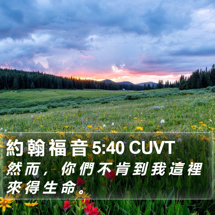 約 翰 福 音 5:40 CUVT Bible Study