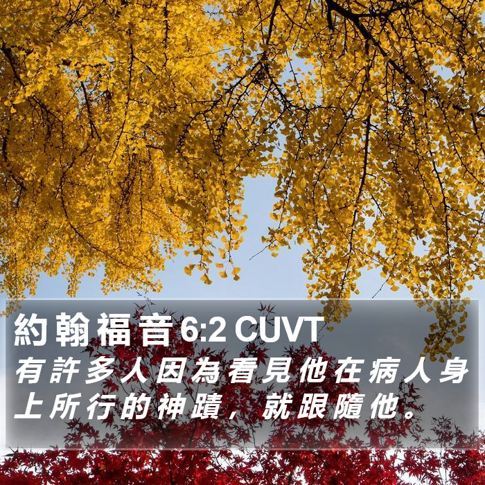 約 翰 福 音 6:2 CUVT Bible Study