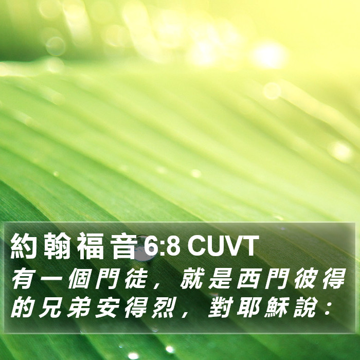 約 翰 福 音 6:8 CUVT Bible Study