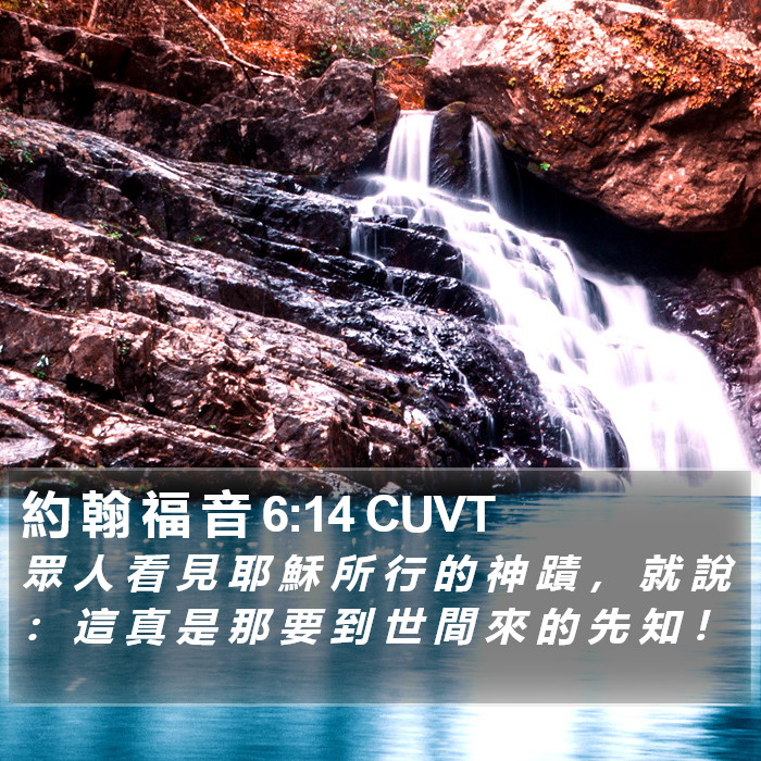 約 翰 福 音 6:14 CUVT Bible Study