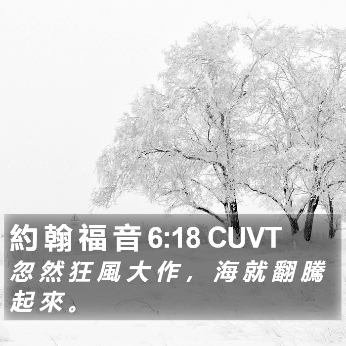 約 翰 福 音 6:18 CUVT Bible Study
