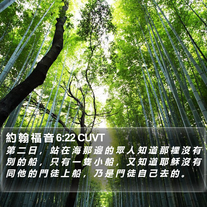 約 翰 福 音 6:22 CUVT Bible Study