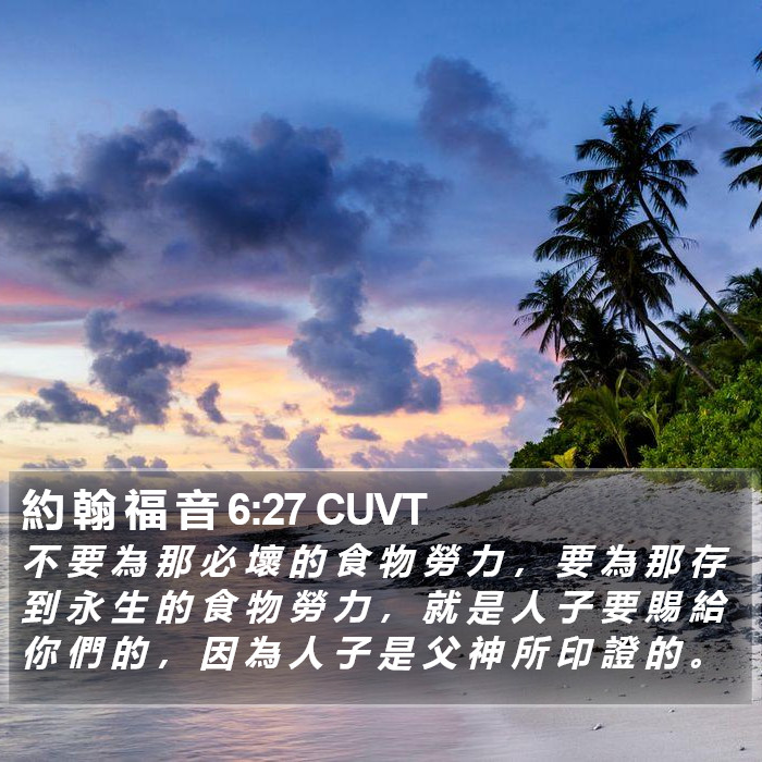 約 翰 福 音 6:27 CUVT Bible Study