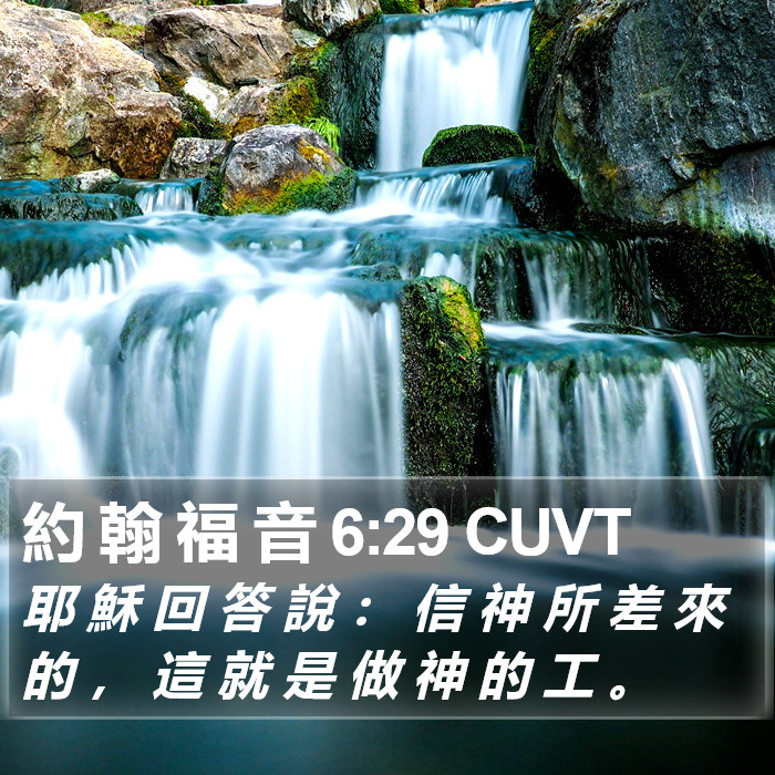約 翰 福 音 6:29 CUVT Bible Study