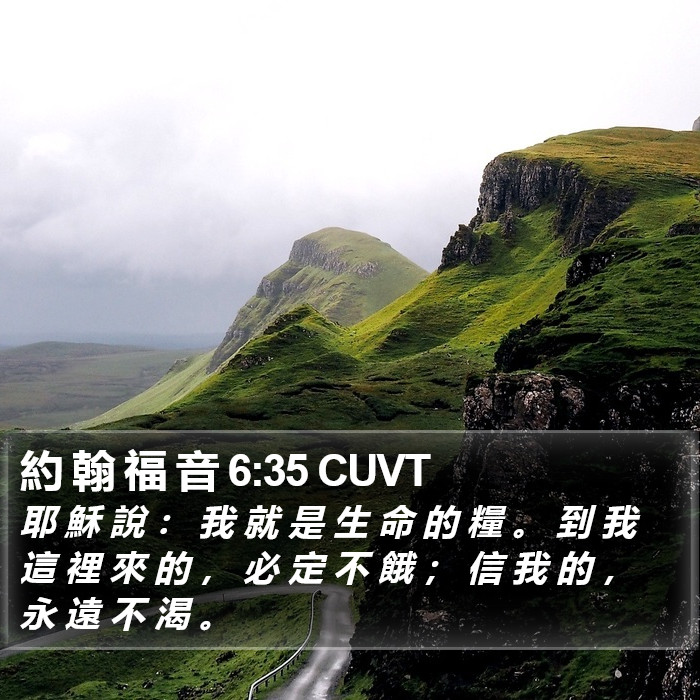 約 翰 福 音 6:35 CUVT Bible Study