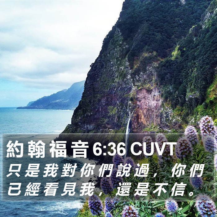 約 翰 福 音 6:36 CUVT Bible Study