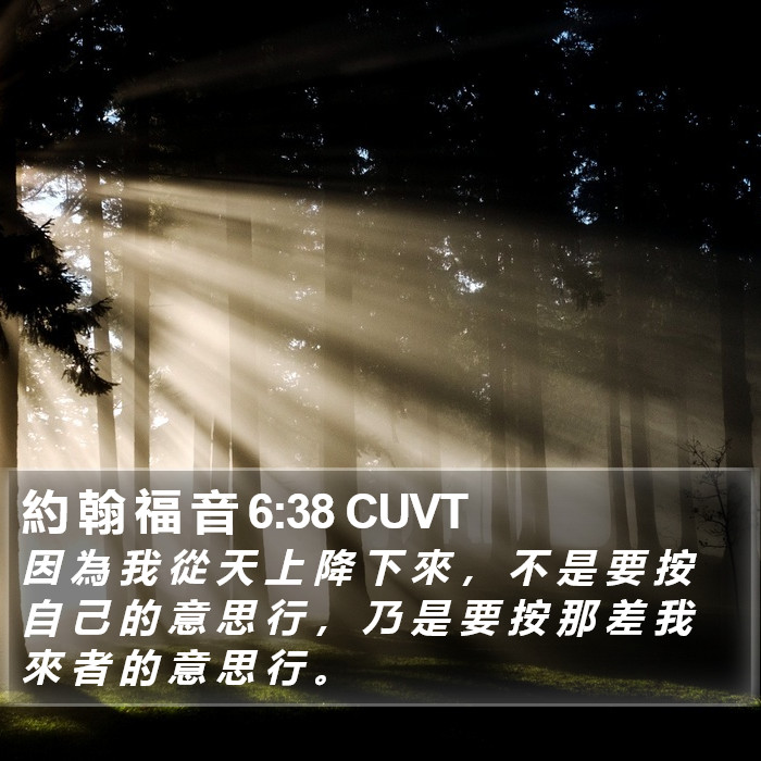 約 翰 福 音 6:38 CUVT Bible Study