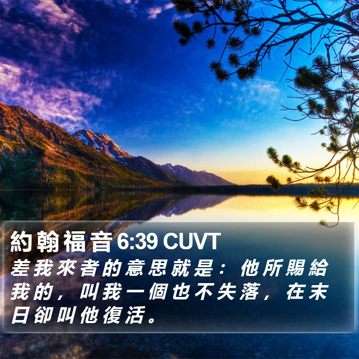 約 翰 福 音 6:39 CUVT Bible Study