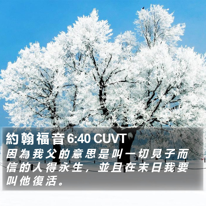 約 翰 福 音 6:40 CUVT Bible Study