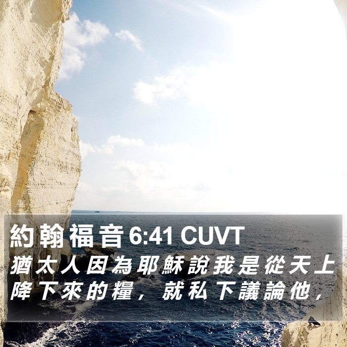 約 翰 福 音 6:41 CUVT Bible Study