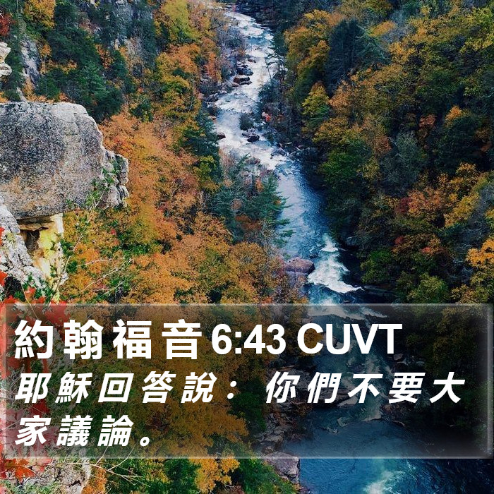 約 翰 福 音 6:43 CUVT Bible Study