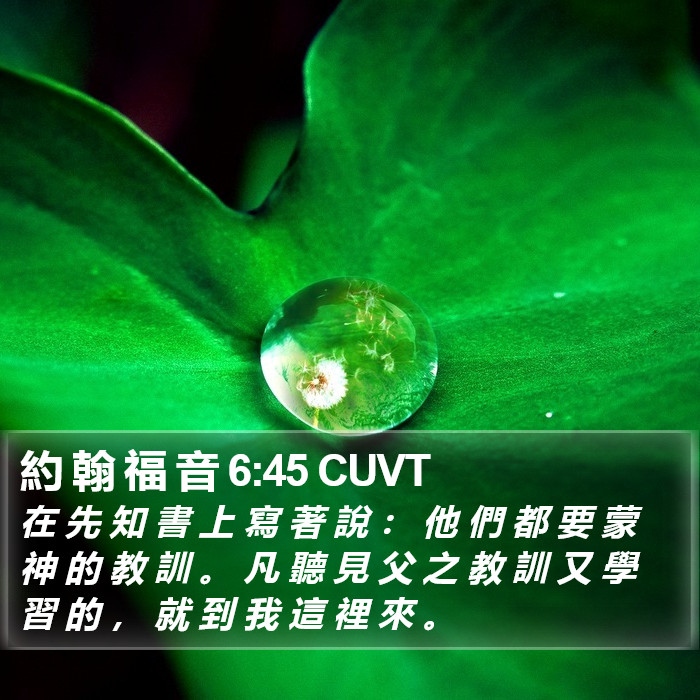 約 翰 福 音 6:45 CUVT Bible Study